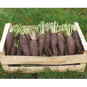 RADIS Noir long poids d'horloge