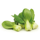 CHOU DE CHINE Pak choï green