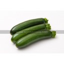 COURGETTE Noriac F1