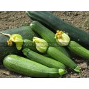 COURGETTE Génovèse