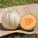 MELON Jenga F1