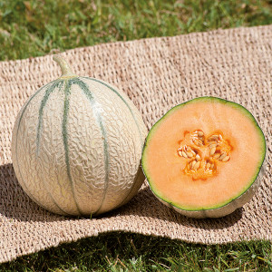 MELON Jenga F1