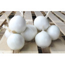 OIGNON BLANC Gladstone