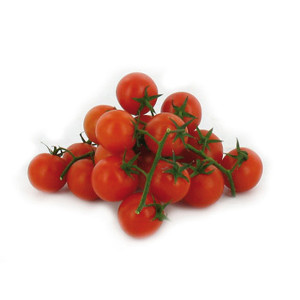 TOMATE Délice des Jardiniers (Qualité Premium)