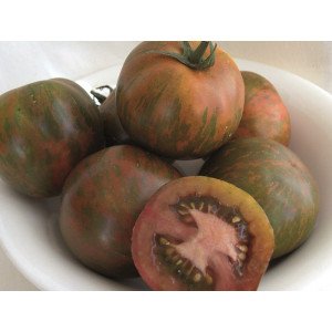 TOMATE Black Zebra (Qualité Premium)