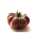 TOMATE Purple calabash (Qualité Premium)