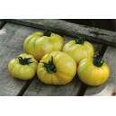 TOMATE Beauté Blanche (Qualité Premium)