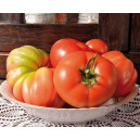 TOMATE Reine des Hâtives (Qualité Premium)