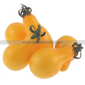 TOMATE Yellow Pearshaped