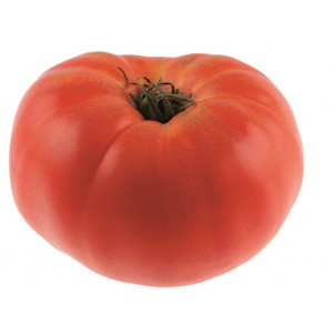 TOMATE Brandywine Rosée  (Qualité Premium)