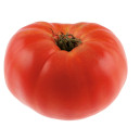 TOMATE Brandywine Rosée  (Qualité Premium)