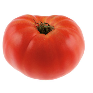 TOMATE Brandywine Rosée  (Qualité Premium)
