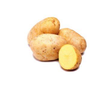 POMME DE TERRE Monalisa