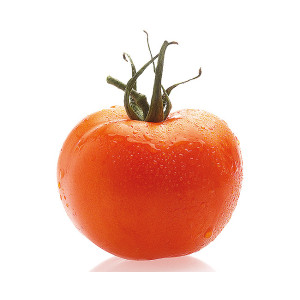 TOMATE La Carotina (Qualité Premium)