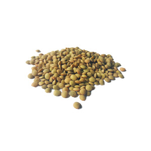 LENTILLE Commune blonde