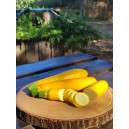 COURGETTE Jaune (variété population)