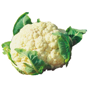 CHOU FLEUR Boule de Neige