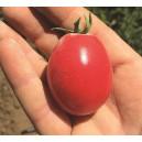 TOMATE German Lunch Box