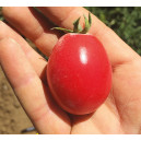 TOMATE German Lunch Box