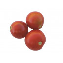 TOMATE Belle Arlésienne (QUALITÉ PREMIUM)