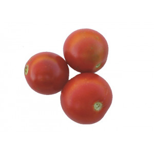 TOMATE Belle Arlésienne (QUALITÉ PREMIUM)