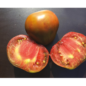 TOMATE ANCIENNE NOIRE Bedouin  (Qualité Premium)