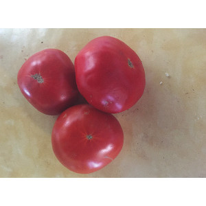 TOMATE Charnue de Huy  (Qualité Premium)