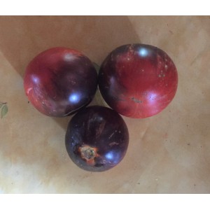 TOMATE Black Shadow