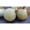 COURGE Blue Ballet