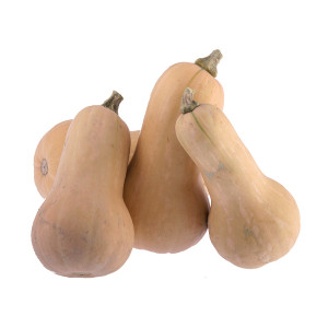 COURGE Butternut