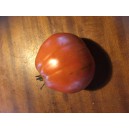 TOMATE Or pera d'Abruzzo