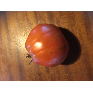 TOMATE Or pera d'Abruzzo