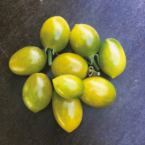TOMATE Green envy (Premium)