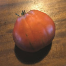 TOMATE Or pera d'Abruzzo