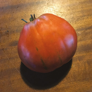 TOMATE Or pera d'Abruzzo