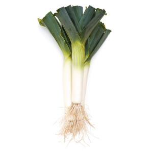 POIREAU Géant d'Hiver