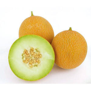 MELON Arava F1