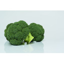 CHOU Brocoli Covina F1