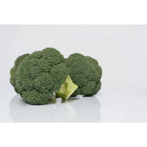 CHOU Brocoli Covina F1