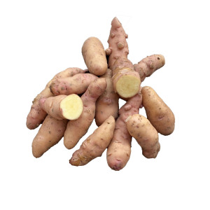 POMME DE TERRE Corne de Gatte