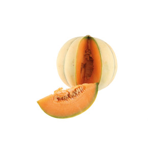 MELON Diamex