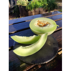 MELON Honey Dew