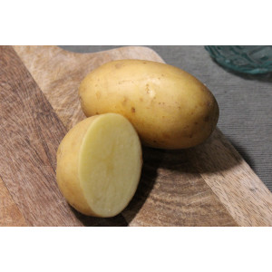 POMME DE TERRE PRIMEUR STARLETTE