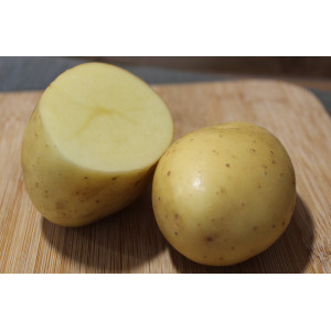 POMME DE TERRE Byzance