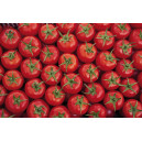 TOMATE Cindel F1