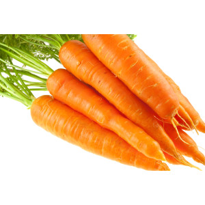 CAROTTE Berlicum