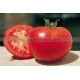 Graine bio TOMATE Saint-Pierre 