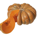 COURGE Musquée de Provence