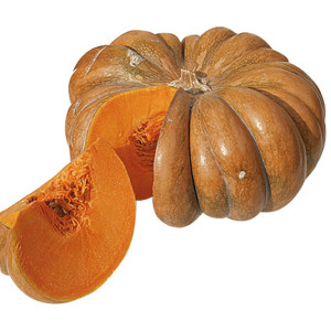 COURGE Musquée de Provence