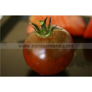 TOMATE Noire Russe charbonneuse